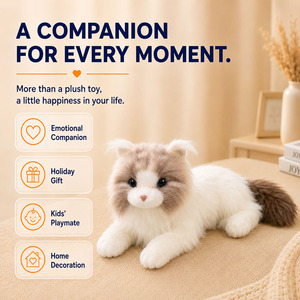 Produttore di Giocattoli OEM Realistici a Forma di Gatto Ragdoll con Pelo Lungo, Fornitore All'Ingrosso di Animali di Peluche con Logo Personalizzato ed Etichetta Privata - Product Image 3