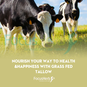 Cápsulas de Sebo de Res FocusHerb 500MG, 60 Unidades, Sebo Bovino de Animales Alimentados con Pasto para Adultos y Mujeres - Product Image 3