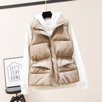 PASUXI Ropa de Mujer Otoño Invierno 2026 Chaqueta Acolchada sin Mangas de Algodón con Cuello Alto Chaleco de Color