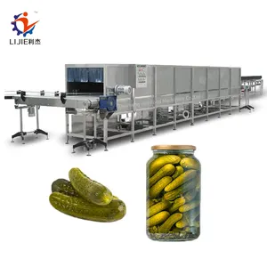 Eingelegte Gurken-Pasteur isierungs maschine Flaschen getränke Bagged Snack Food Tunnel Pasteur izer Machine