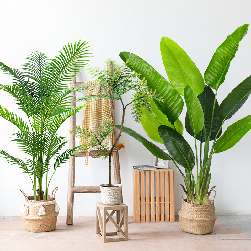 Wholesale Large Simulation Green Planter Plastic Jacaranda Olive Tree High  Sense Fake Plant Loose Tail for Potted Decorations| Alibaba.com