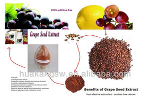 Nhà Máy Bán buôn Chất lượng cao cấp thực phẩm chiết xuất hạt nho proanthocyanidins 40% 95% chiết xuất hạt nho bột - Product Image 4