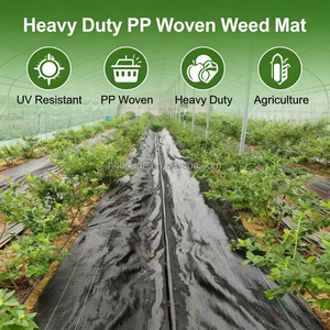 Malla Antihierbas Tejida de PP/PE <span class=keywords><strong>para</strong></span> Agricultura, Barrera de Control de Malezas, Rollo de Tela <span class=keywords><strong>para</strong></span> Paisajismo, Fabricación de Tela <span class=keywords><strong>para</strong></span> Mulching - Product Image 4