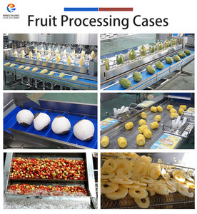 Ligne de nettoyage et de séchage de fruits sur mesure pour usine : oranges, fruits du dragon, ananas, pruneaux, agrumes - Product Image 2