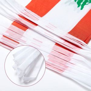 Outdoors Lebanon Flags <b>Small</b> Mini Pennant String Banner Festival Decorations 62.3 Feet 30 Flags Aluminum Flagpoles Polyester - Product Image 3