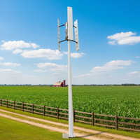Éolienne portable VAWT haute efficacité 1000W, générateur à axe vertical pour maison et cabane hors réseau