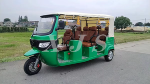 EEC COC tre ruote risciò elettrico per moto da turismo elettrico Tuk Tuk - Product Image 6