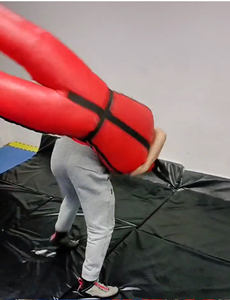 <span class=keywords><strong>Mannequin</strong></span> d'Entraînement Pliable Polyvalent pour MMA BJJ Lutte Travail au Sol Équipement <span class=keywords><strong>de</strong></span> Fitness Réaliste - Product Image 5