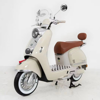 Ahli jalan Retro modis kecepatan tinggi populer sepeda motor sepeda Electrica Bicicleta pabrik Cina penjualan terlaris sepeda motor listrik