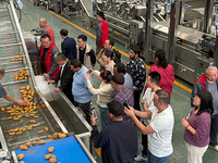 Automatische frietverwerkingslijn, machine voor het maken van aardappelchips, friteuse, apparatuur voor het schillen van fruit en groenten, aanpasbare capaciteit