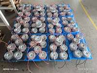 Transformateur toroïdal audio OEM 30VA, entrée 110V 220V 230V, sortie 6V 12V 24V, transformateur électronique monophasé