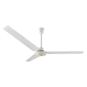 TNTSTAR TNT-202 New electric fan heater 6 blade ceiling ceiling light with fan