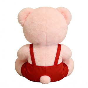 Nouveau design 2026 : Ours en peluche mignon et tendance avec combinaison, jouet en peluche personnalisé - Product Image 2