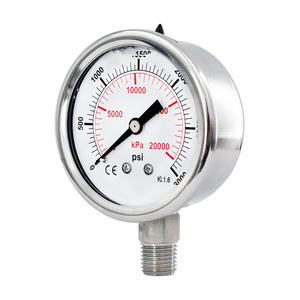 เกจวัดความดัน<span class=keywords><strong>3000</strong></span> <span class=keywords><strong>PSI</strong></span> พร้อมการรับรอง ISO9001 CE ROHS สำหรับติดตั้งด้านล่างขนาด60มม. YBF60A - Product Image 1