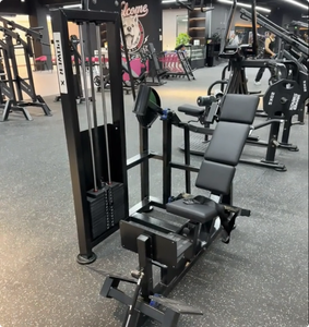 Máquina <span class=keywords><strong>de</strong></span> Dips Sentado <span class=keywords><strong>con</strong></span> Peso Cargado Cybexs, Equipo <span class=keywords><strong>de</strong></span> Gimnasio Future Strength Power X Pulead - Product Image 2