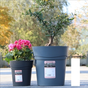 Grand <span class=keywords><strong>pot</strong></span> de jardin d'extérieur <span class=keywords><strong>en</strong></span> plastique épais pour plantes vertes et succulentes, 12/16/23/25/28/35 cm, <span class=keywords><strong>pas</strong></span> <span class=keywords><strong>cher</strong></span> - Product Image 1