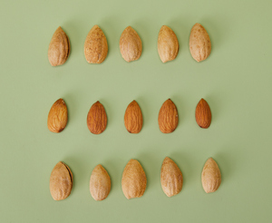 Núcleos de Albaricoque de Primera Calidad, Frutos Secos Baratos, Almendras - Product Image 4
