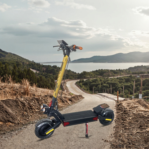 Scooter Eléctrico de Dos Ruedas con Motor de 1800w-3500w, Neumáticos Anchos, 11 Pulgadas, Desmontable, 150kg, M9 Scooter M9 M - Product Image 3