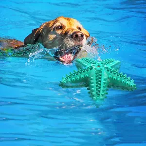 Divertidos Juguetes Masticables con Forma de Estrella de Mar para Perros Grandes y Pequeños, Indestructibles, para Limpieza Dental, Interactivos, de <span class=keywords><strong>Entrenamiento</strong></span>, Suministros para Mascotas - Product Image 5