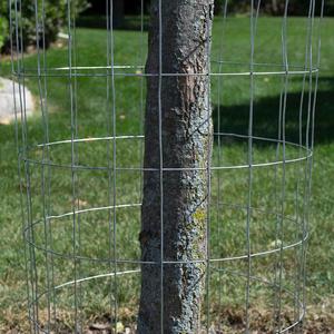 Verzinkt geschweißt wire <span class=keywords><strong>mesh</strong></span>/hund <span class=keywords><strong>mesh</strong></span> - Product Image 2