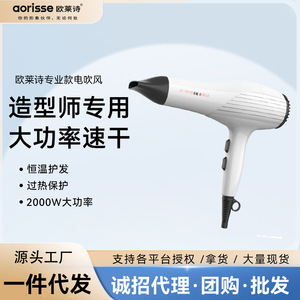 Oulaishi Hair Dryer 2000W AC Motor Heat Protection Salon Use - Product Image 4