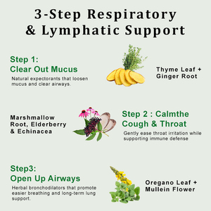 Oem nhãn hiệu riêng mullein lá chiết xuất chất lỏng giọt hỗ trợ hô hấ<span class=keywords><strong>p</strong></span> giữ gìn sức khỏ<span class=keywords><strong>e</strong></span> tự nhiên Halal Hữu Cơ mullein giọt - Product Image 4