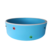 Piscine gonflable en PVC de haute qualité pour la famille, profonde, durable, géante, à points de suture, écologique, imperméable