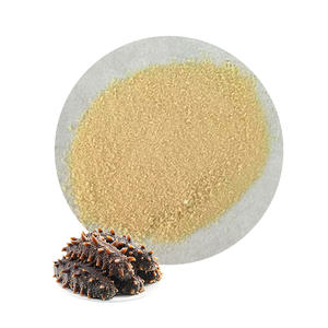 Высококачественный натуральный экстракт морского огурца в порошке, пептид морского огурца - Product Image 4