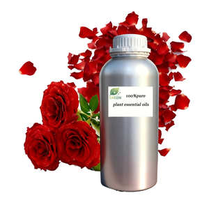 Aceite Esencial de Rosa 100% Puro y Natural Prensado en Frío, de Primera Calidad, Venta al Por Mayor de Fábrica, Antienvejecimiento, para el Cuidado de la Piel, Fabricación de Velas, Herbal - Product Image 2