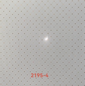 Pannello per Soffitto <span class=keywords><strong>in</strong></span> <span class=keywords><strong>PVC</strong></span> 603*603 Impermeabile Perforato/a Nido d'Ape/Design Artistico per Edifici per Uffici - Product Image 4