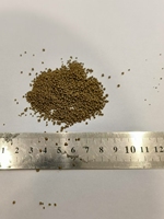 MIDI FEED Mycoprotéine 70% Protéine Qualité Alimentaire pour Additifs Alimentaires pour Animaux Certifié ISO-9001 Protéine de Cellule Unique
