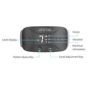 Herramientas de Entrenamiento para perros, <span class=keywords><strong>Collar</strong></span> eléctrico de entrenamiento para perros, resistente al agua, recargable, con descarga - Product Image 4