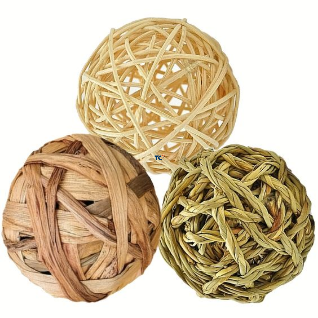 ธรรมชาติ