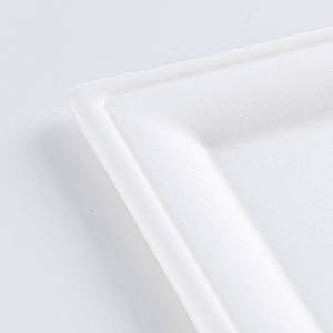 <span class=keywords><strong>Assiette</strong></span> carrée <span class=keywords><strong>jetable</strong></span> de haute qualité de 10 pouces plateau à gâteau cartons de bonne qualité sucre bagasse boîte à lunch <span class=keywords><strong>jetable</strong></span> - Product Image 4