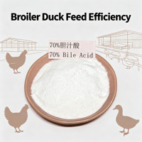 Acide bilique HS 70% (qualité alimentaire CAS 81-25-4) – Additif alimentaire pour réduire la graisse abdominale et soulager les dommages hépatiques chez la viande et la volaille