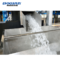 Usine de production de glace en tubes Focusun - Entreprise complète de glace en sacs, prête à l'emploi