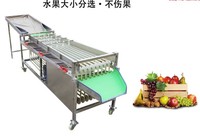 Roller Sizer Olijf Sorteren Machine Voor Verkoop Vruchten Grader Door Size