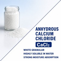 Chlorure de calcium anhydre en poudre, haute pureté, qualité industrielle, produit chimique