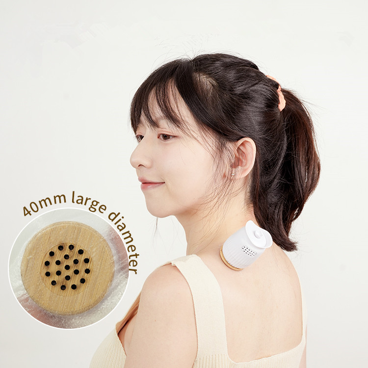 Traditional Chinese Medicine Painless Beauty Moxibustion Health Care