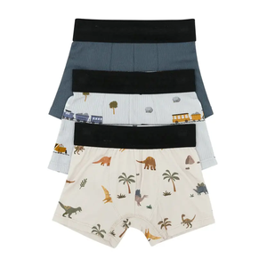 Caleçons en coton pour enfants à motif dessin animé, vente chaude en usine, sous-vêtements pour garçons, caleçons pour enfants, Calcinha Infantil - Product Image 2