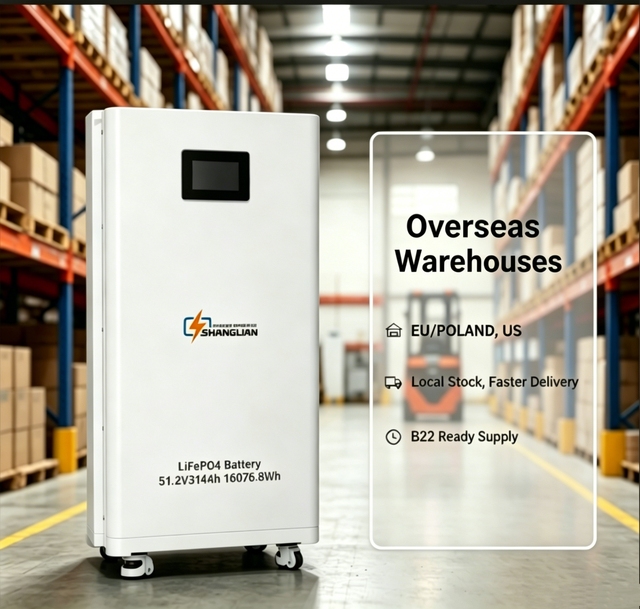 16KWH 51.2V 314Ah Lithium Iron Phosphate Battery Smart BMS 6000 Cycles Home Solar Energy Storage Off Grid Backup Power System