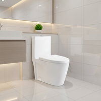 Pas cher Prix One Piece Céramique WC Toilette Sanitaire pour Salle De Bains Laver Sanitarios Toilette