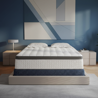 Promotion des ventes : Matelas à ressorts ensachés en latex naturel, nouveau design, avec feuille de mousse de latex, fabriqué à la machine, pour mobilier de lit, en latex érotique
