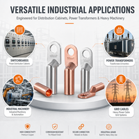Embout de câble en cuivre pur série DT DT10-300, embout de sertissage par compression pour connexion de mise à la terre des câbles d'alimentation