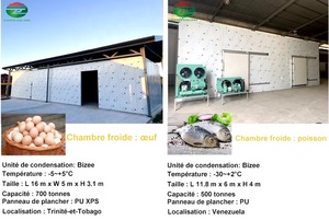 Prix <span class=keywords><strong>pas</strong></span> <span class=keywords><strong>cher</strong></span> 50 tonnes chambre froide congélateur fruits et légumes taille personnalisée - Product Image 5