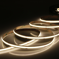 Bande lumineuse COB avec 320 LED/mètre, largeur du circuit imprimé 10 mm, 10 W/m, 12 V, 24 V, bande LED COB