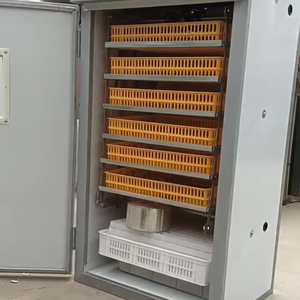 Siêu Lớn Thông Minh Tự Động Lồng Ấp Trứng Cao Tỷ Lệ Nở Cho Chim Gà Vịt Ngỗng Ngỗng Đà Điểu 220V - Product Image 6