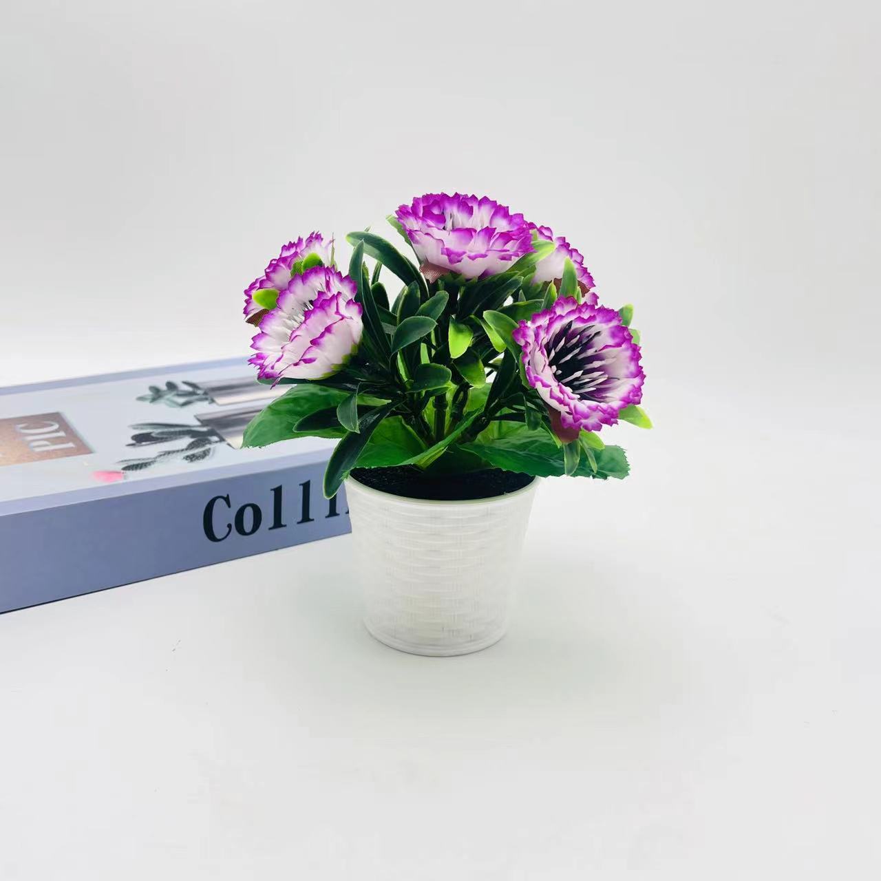 Purple edge white