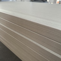 Porte battante à double panneau moulée en MDF HDF moderne de haute qualité peau d'apprêt blanche insonorisée pour hôtels et chambres à coucher