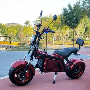 中国2023新製品トロッター最高の電動バイク60V電動スケートボード700W